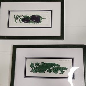Framed Botanical Art Prints Signed By Barbie Tidwell Numbered 181/1200